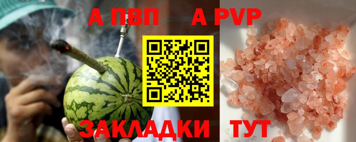 Alfa_PVP СК КРИС Новозыбков