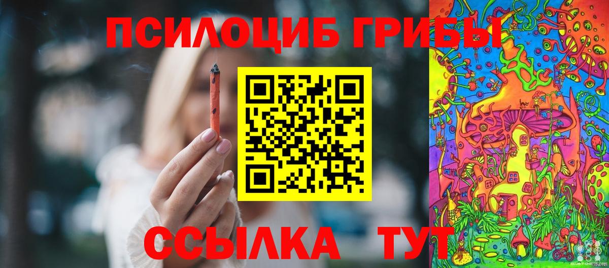 Псилоцибиновые грибы Cubensis Новозыбков