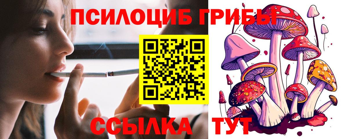 Галлюциногенные грибы Psilocybine cubensis  Вход с VPN  Новозыбков 
